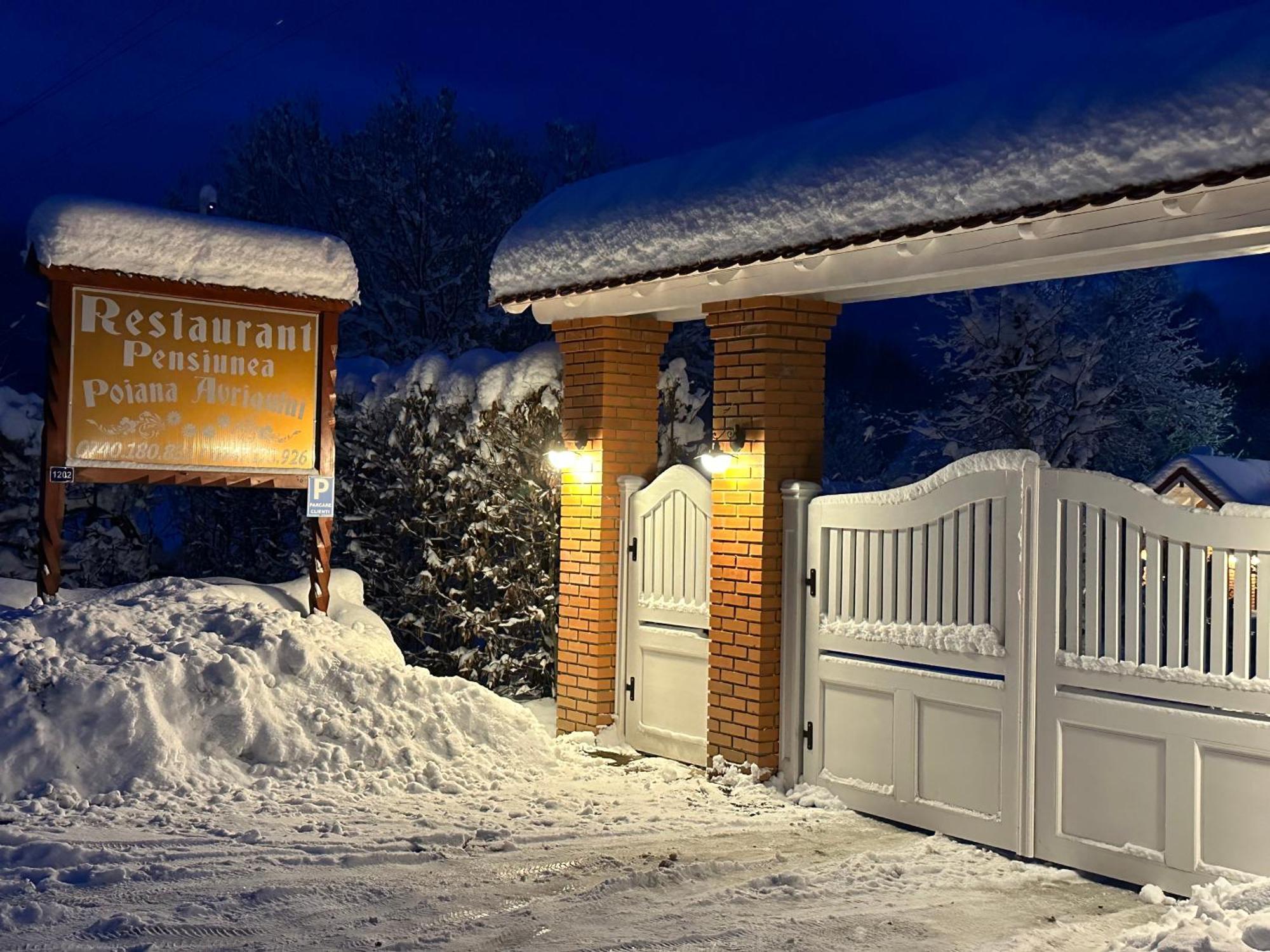 Pensiunea Poiana Avrigului Экстерьер фото